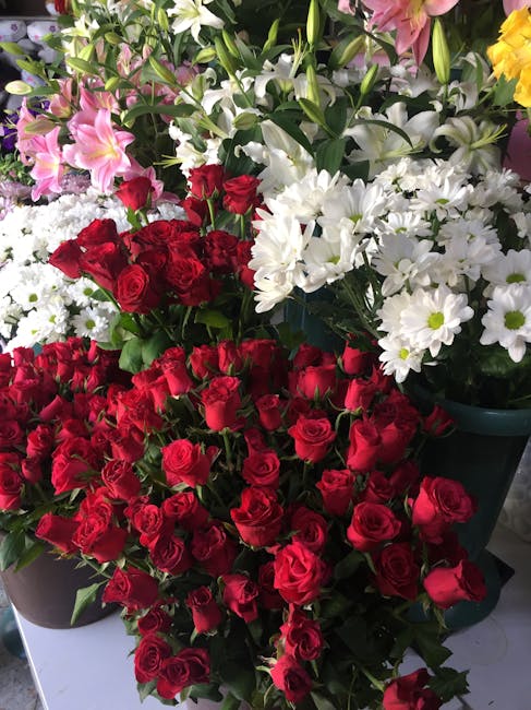 A vibrant display of floral arrangements featuring clusters of deep red roses with tightly packed petals and green stems, accented by white daisy-like flowers with yellow centers and delicate white pe